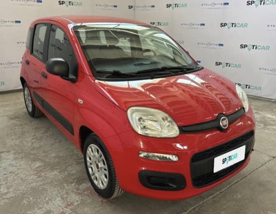 Fiat Panda 1.2 Easy (3)