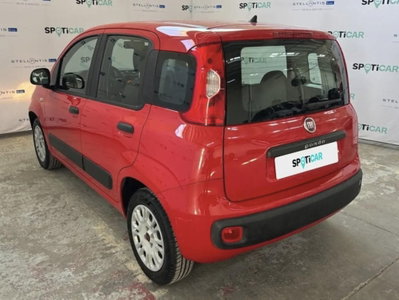 Fiat Panda 1.2 Easy (4)