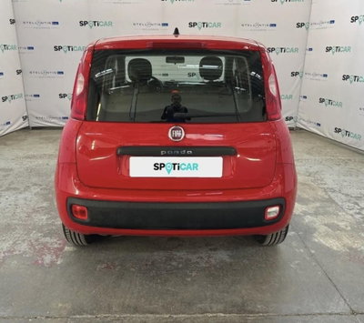 Fiat Panda 1.2 Easy (5)