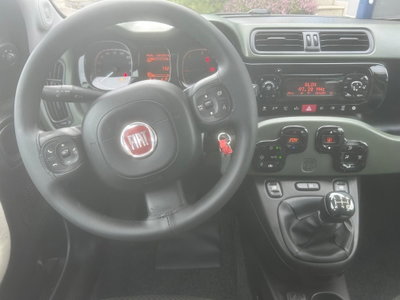 Fiat Panda 1.3 MJT 16V DPF 4x4 Climbing (5)