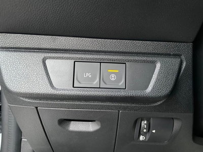 Dacia Sandero Stepway 1.2 Eco-G Expression 120cv auto (7)