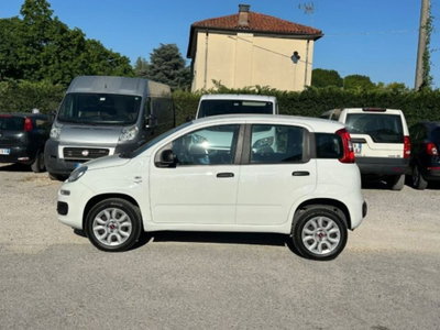 Fiat Panda 0.9 TwinAir Turbo Natural Power Easy (2)