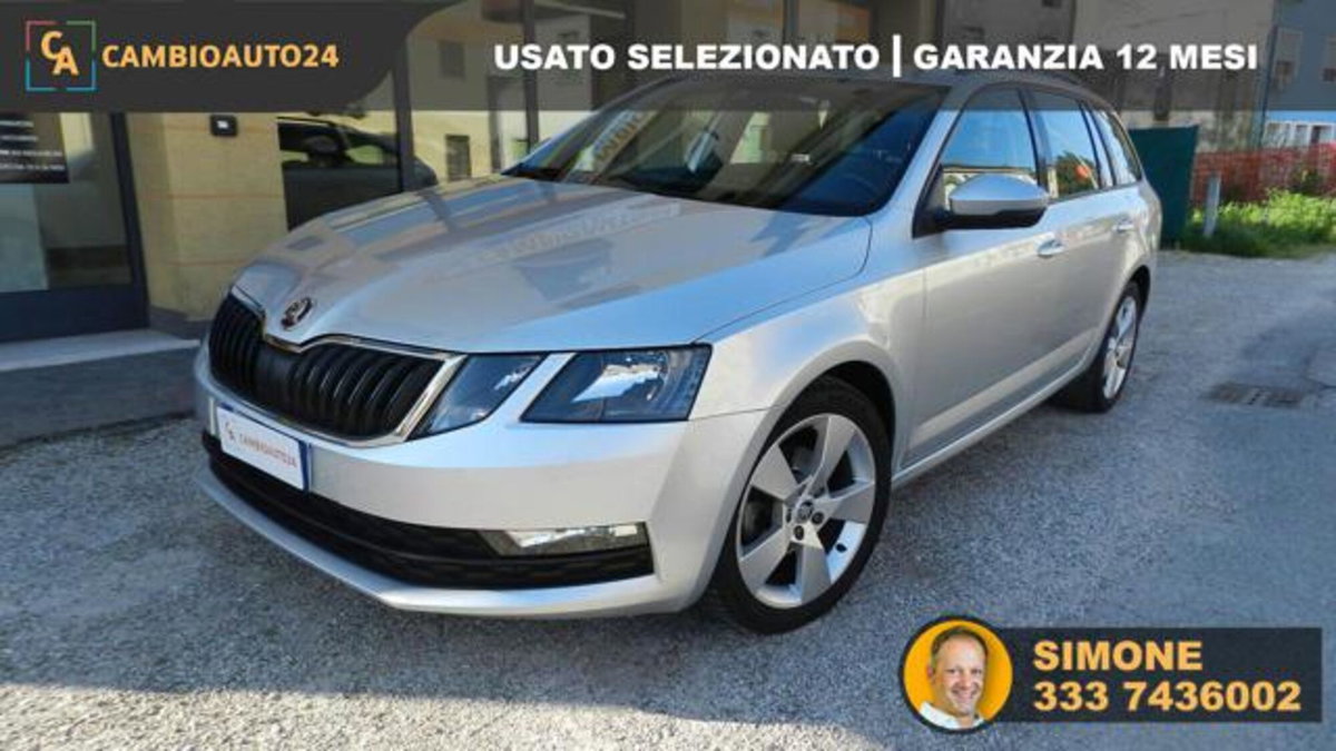 Skoda Octavia Station Wagon 1.6 TDI CR 115 CV Wagon Executive (3)
