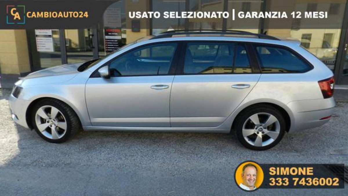 Skoda Octavia Station Wagon 1.6 TDI CR 115 CV Wagon Executive (4)
