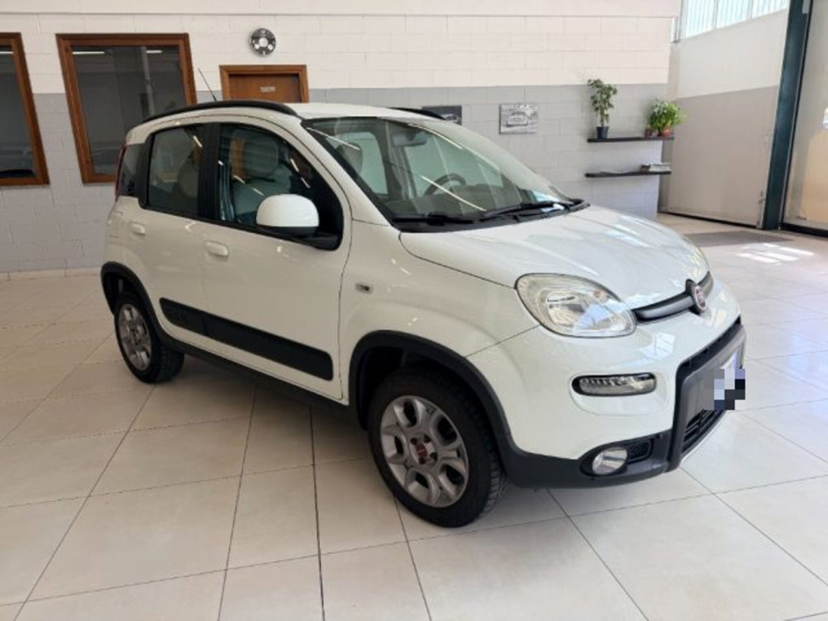 Fiat Panda 1.3 MJT S&S 4x4 (3)