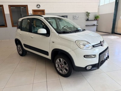 Fiat Panda 1.3 MJT S&S 4x4 (3)