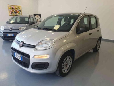 Fiat Panda 1.2 Easy usata
