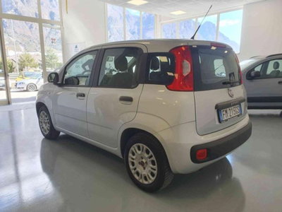 Fiat Panda 1.2 Easy (4)