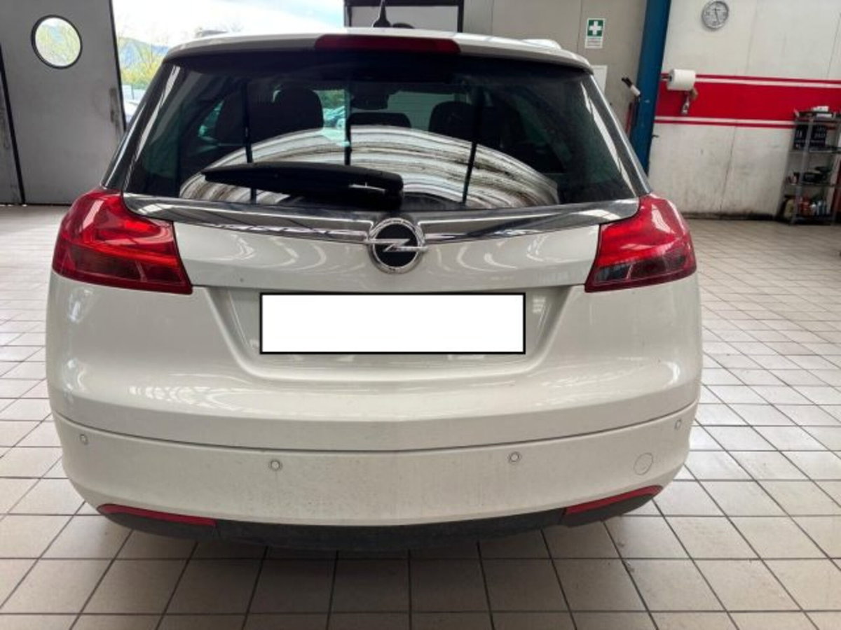 Opel Insignia Station Wagon CDTI 160CV Sports Elective (6)