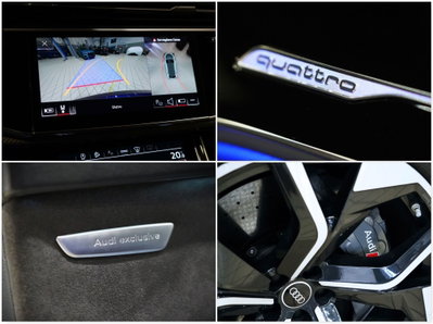 Audi RS Q8 Q8 4.0 mhev quattro tiptronic (13)