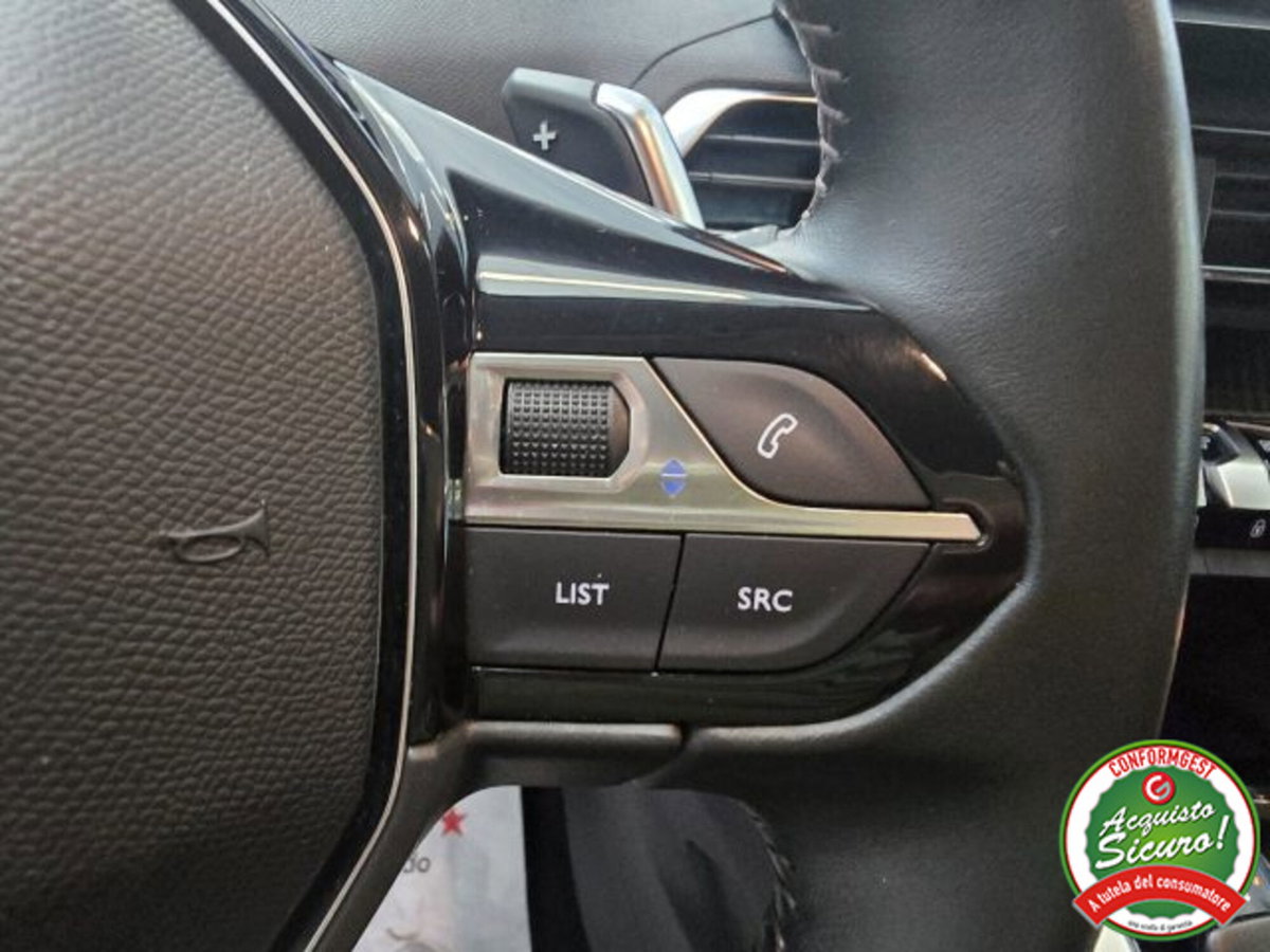 Peugeot 3008 BlueHDi 130 S&S EAT8 GT (16)