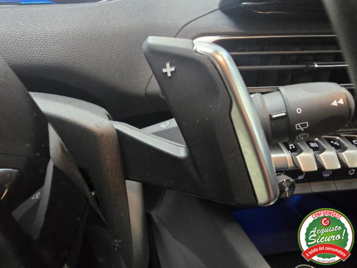 Peugeot 3008 BlueHDi 130 S&S EAT8 GT (17)