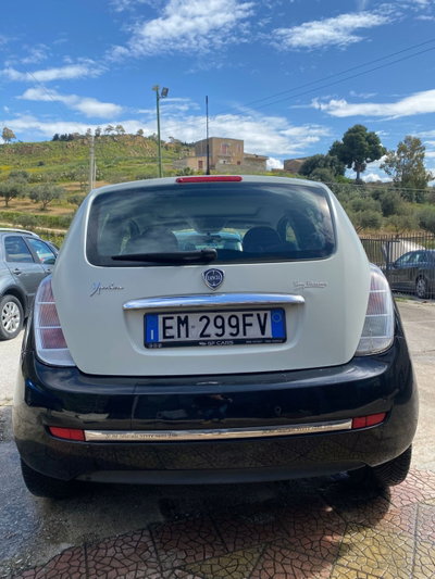 Lancia Ypsilon 1.2 69 CV 5 porte Platinum (4)