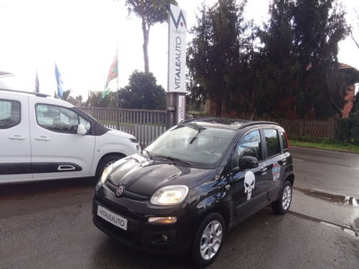 Fiat Panda 0.9 TwinAir Turbo Natural Power Easy usata