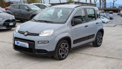 Fiat Panda 1.0 firefly hybrid s&s 70cv 5p.ti (2)