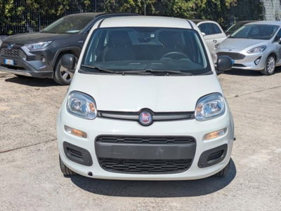 Fiat Panda 1.0 firefly hybrid s&s 70cv 5p.ti (15)