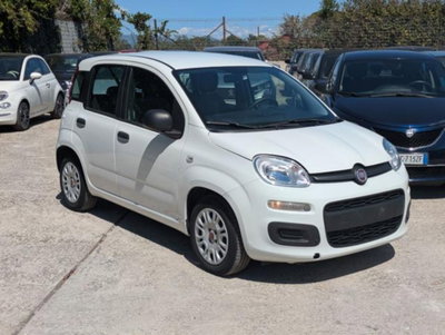 Fiat Panda 1.0 firefly hybrid s&s 70cv 5p.ti (2)