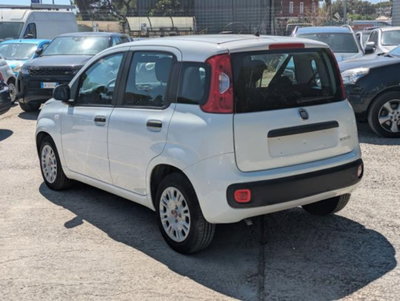 Fiat Panda 1.0 firefly hybrid s&s 70cv 5p.ti (4)