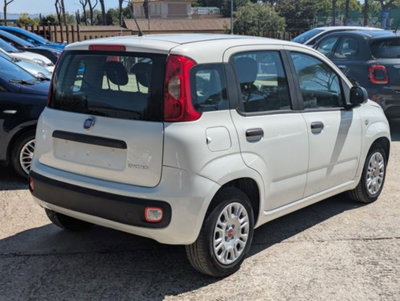 Fiat Panda 1.0 firefly hybrid s&s 70cv 5p.ti (5)