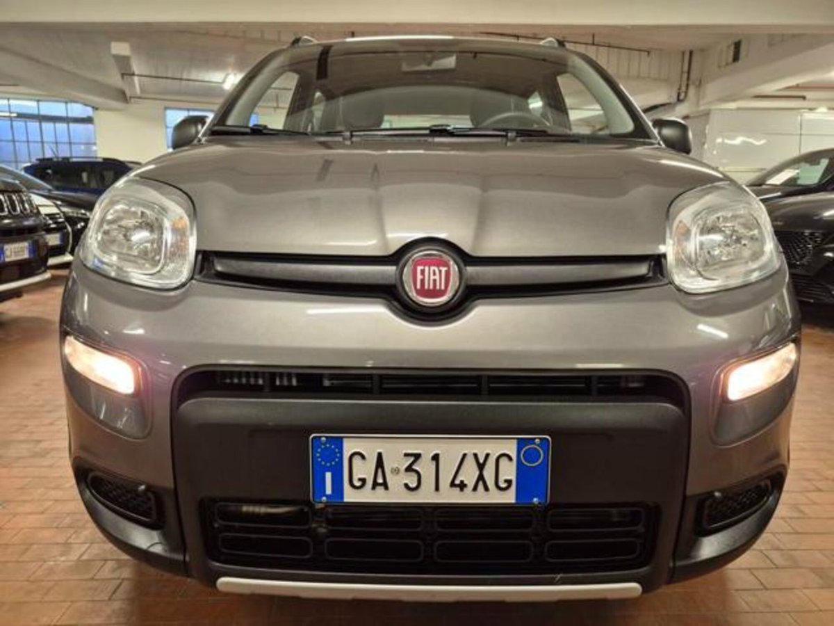 Fiat Panda 0.9 TwinAir Turbo S&S 4x4 (4)