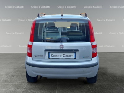 Fiat Panda 1.2 Dynamic Natural Power (4)