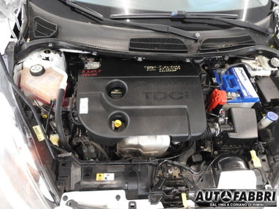 Ford Fiesta 1.4 TDCi 5p. Ambiente (7)