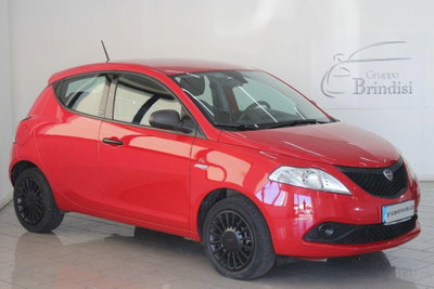 Lancia Ypsilon 1.2 69 CV 5 porte GPL Ecochic Alberta Ferretti usata