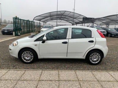Fiat Punto 1.3 MJT II S&S 95 CV 5 porte Street (8)