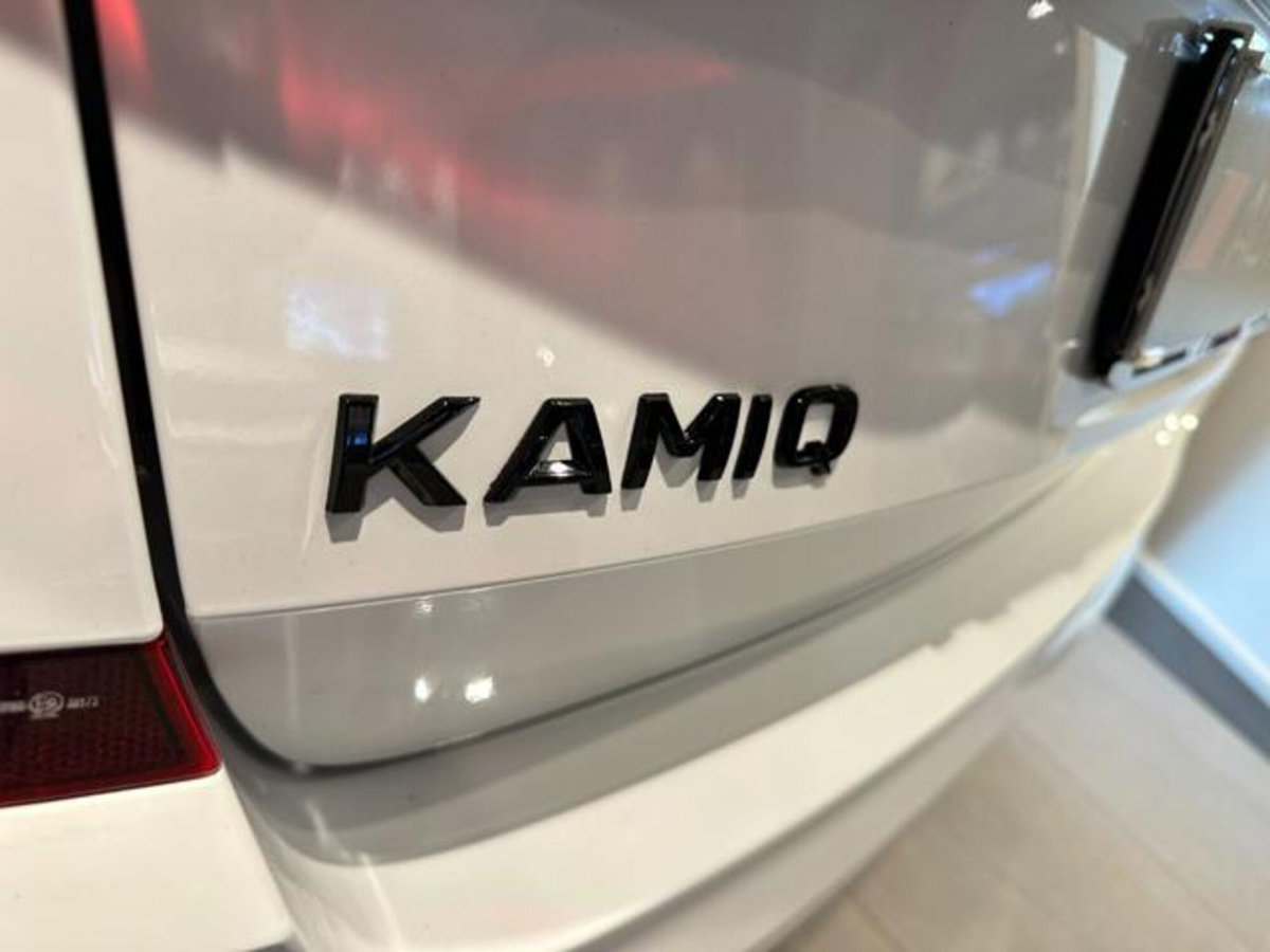 Skoda Kamiq 1.0 tsi Black Dots 95cv (14)
