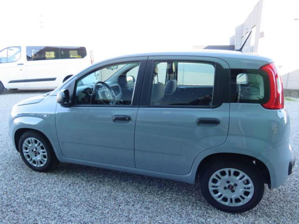 Fiat Panda 1.0 firefly hybrid s&s 70cv 5p.ti (2)
