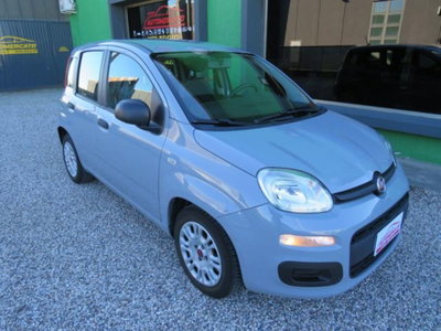 Fiat Panda 1.0 firefly hybrid s&s 70cv 5p.ti (4)
