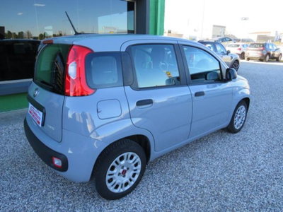Fiat Panda 1.0 firefly hybrid s&s 70cv 5p.ti (6)