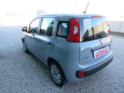 Fiat Panda 1.0 firefly hybrid s&s 70cv 5p.ti (8)
