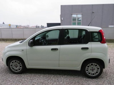 Fiat Panda 1.2 Easy (2)