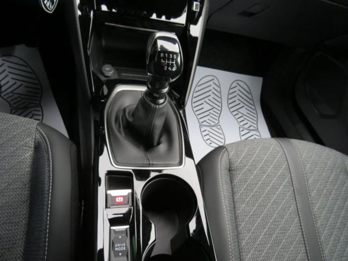 Peugeot 2008 PureTech 100 S&S Allure (20)
