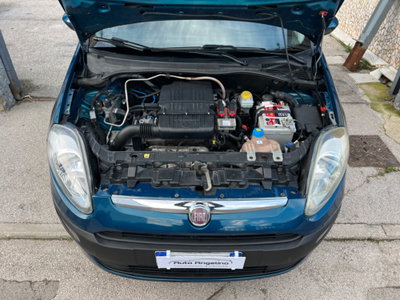 Fiat Punto Evo 1.4 3 porte Active Natural Power (13)