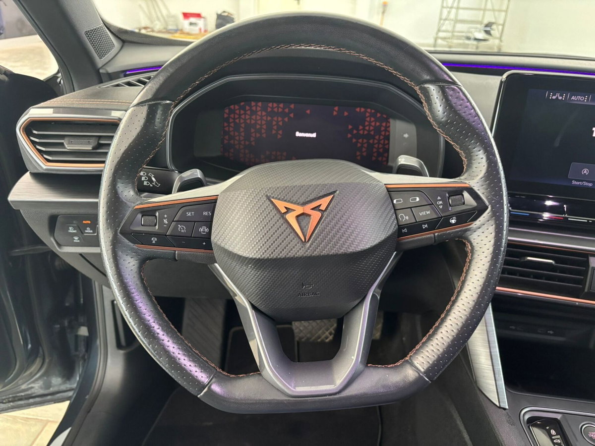 Cupra Formentor Formentor 2.0 tdi 4drive 150cv dsg (13)