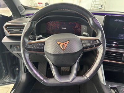 Cupra Formentor Formentor 2.0 tdi 4drive 150cv dsg (13)