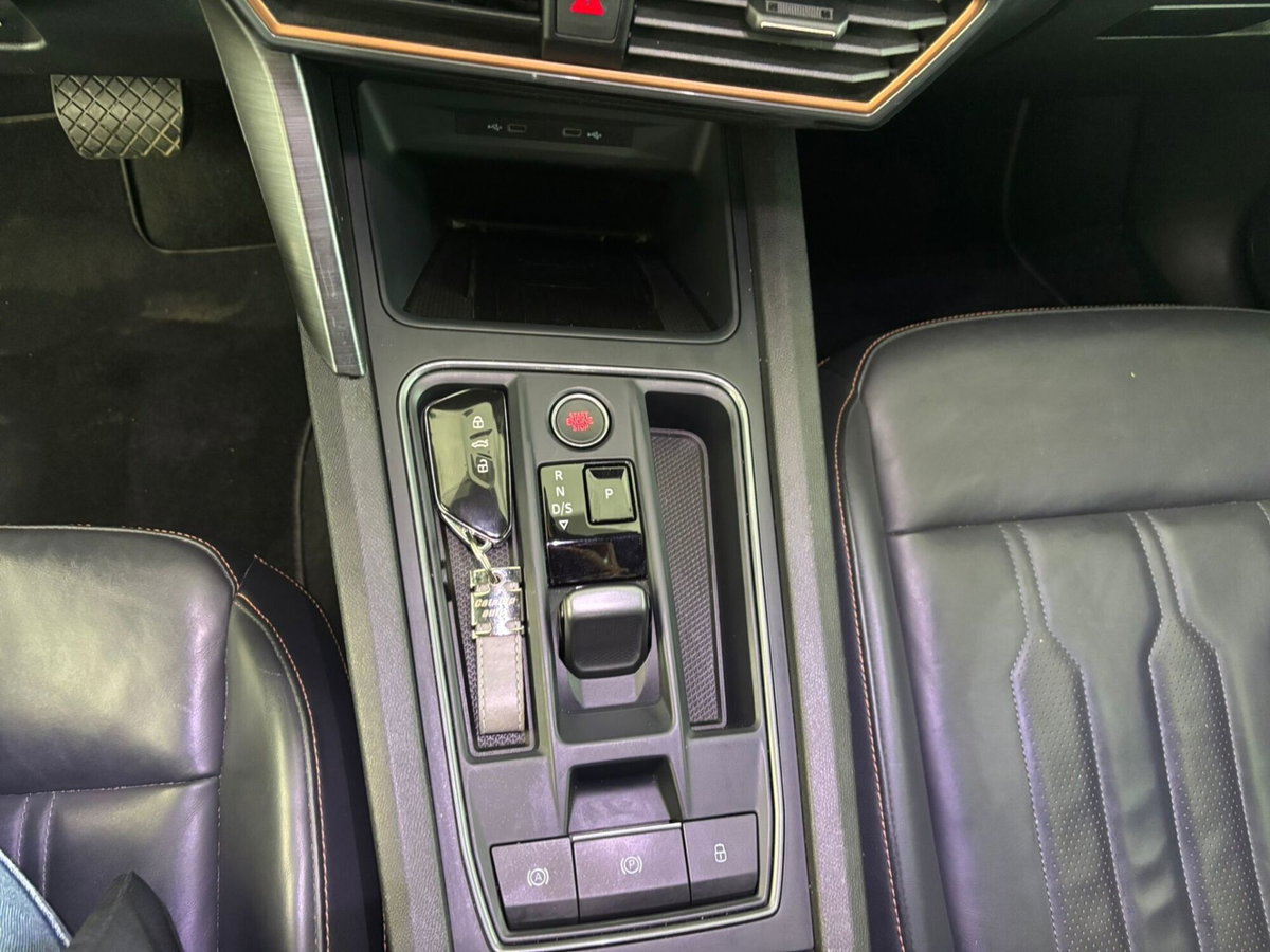 Cupra Formentor Formentor 2.0 tdi 4drive 150cv dsg (17)