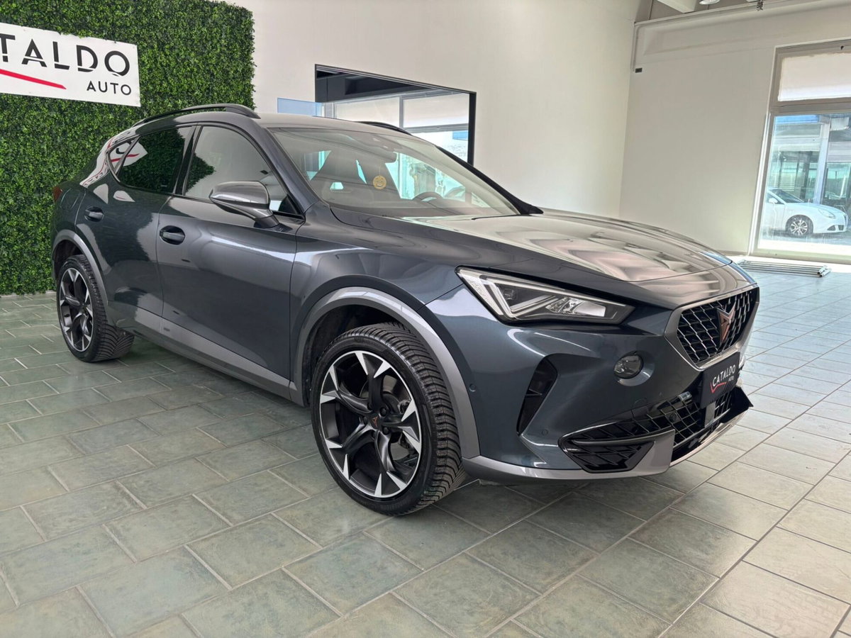 Cupra Formentor Formentor 2.0 tdi 4drive 150cv dsg (7)