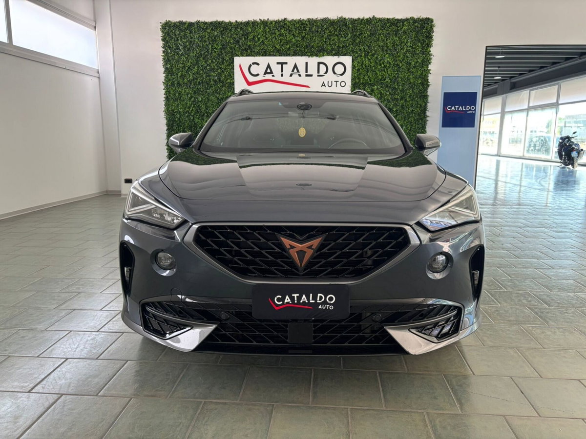 Cupra Formentor Formentor 2.0 tdi 4drive 150cv dsg (8)