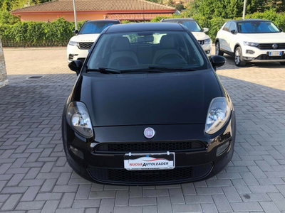 Fiat Punto Evo 1.4 5 porte Active EasyPower (4)