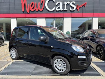 Fiat Pandina 1.0 firefly hybrid Icon s&s 65cv usata