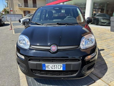 Fiat Pandina 1.0 firefly hybrid Icon s&s 65cv (2)