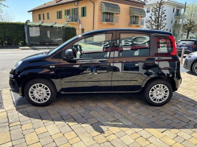 Fiat Pandina 1.0 firefly hybrid Icon s&s 65cv (3)