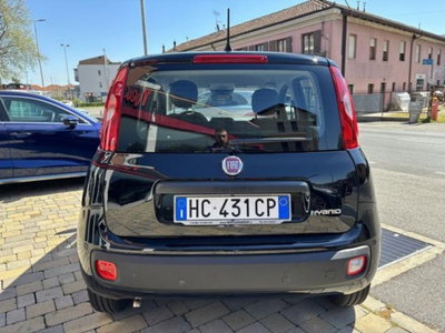 Fiat Pandina 1.0 firefly hybrid Icon s&s 65cv (4)