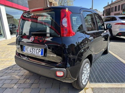 Fiat Pandina 1.0 firefly hybrid Icon s&s 65cv (5)