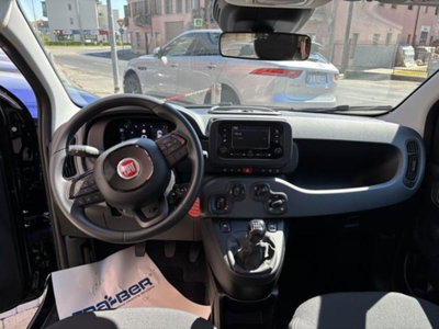 Fiat Pandina 1.0 firefly hybrid Icon s&s 65cv (6)