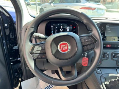 Fiat Pandina 1.0 firefly hybrid Icon s&s 65cv (7)