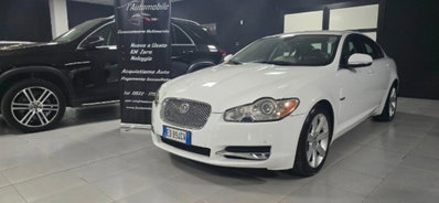 Jaguar XF 3.0 D V6 Luxury (3)